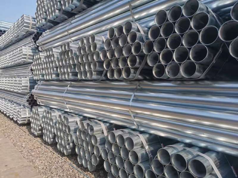 ����\�o(w��)�p䓹�